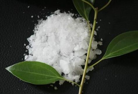 解密傳統中藥冰片的外用鎮痛作用