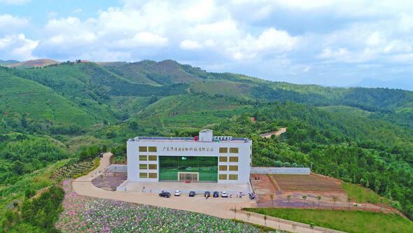 廣東華清園總體建設預計年底完成