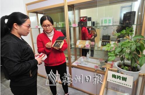華清園是一個在梅州土生土長的農林企業
