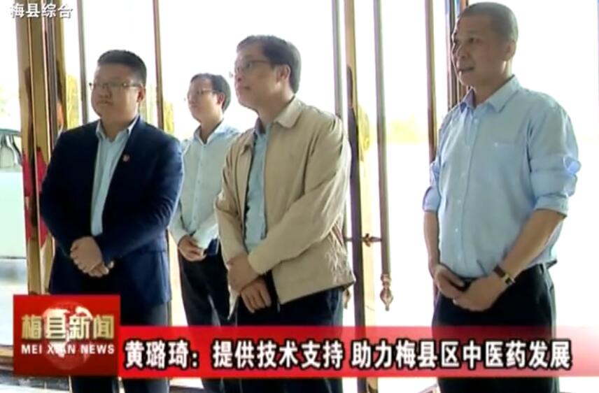 “院士專家”訪談系列報道之二 黃璐琦：提供技術支持 助力梅縣區中醫藥發展