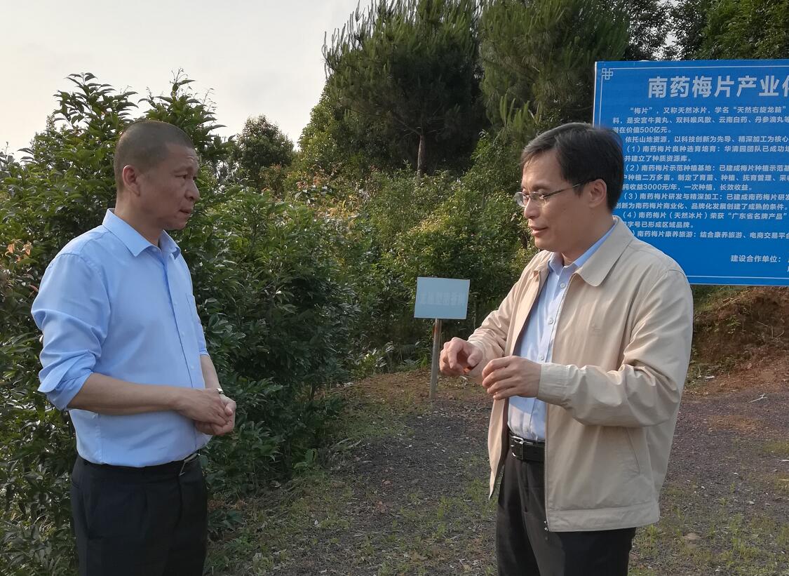 “望聞問(wèn)切”支高招，“對(duì)癥下藥”獻(xiàn)良策——中國(guó)工程院院士黃璐琦為梅片產(chǎn)業(yè)發(fā)展建言獻(xiàn)策