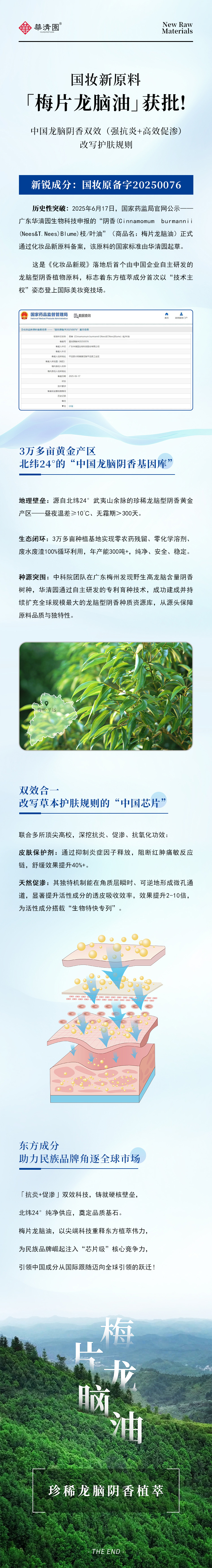 梅片龍腦油--中國(guó)首個(gè)自主研發(fā)龍腦型陰香植物新原料獲批
